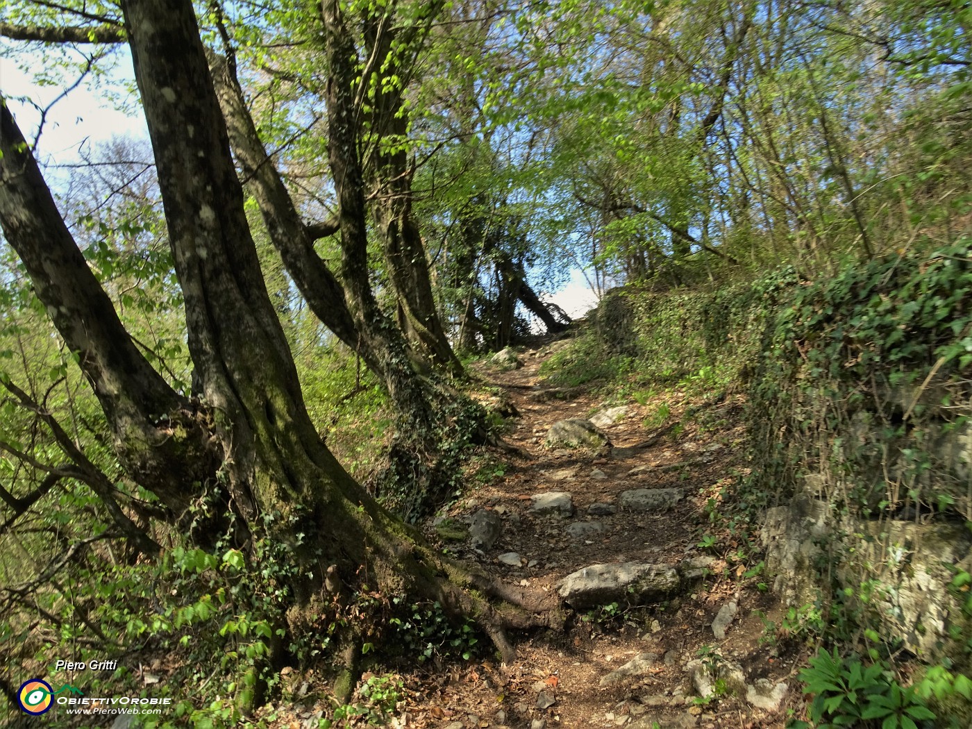 68 In vista dei prati aperti di Cassarielli (750 m).JPG